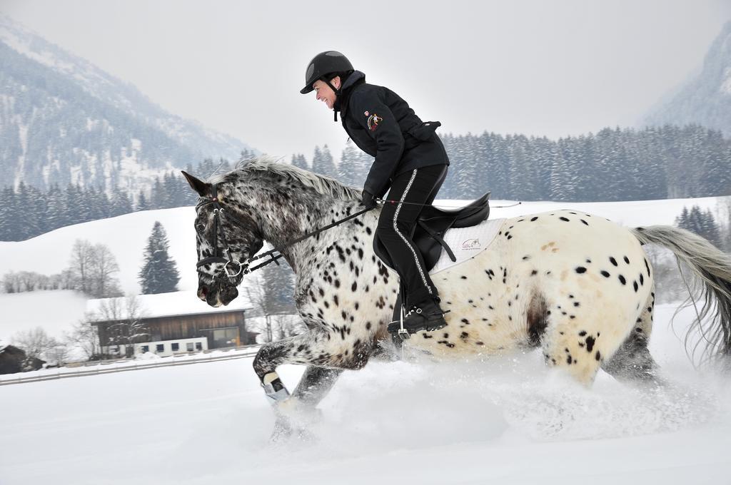 Appartamento Der Landhof Oberstdorf Esterno foto